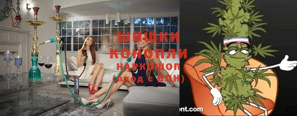 тгк Новозыбков